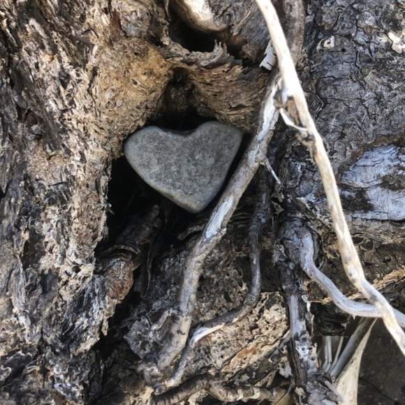 Meet your Posher, Kayla - Picture 1 of 1